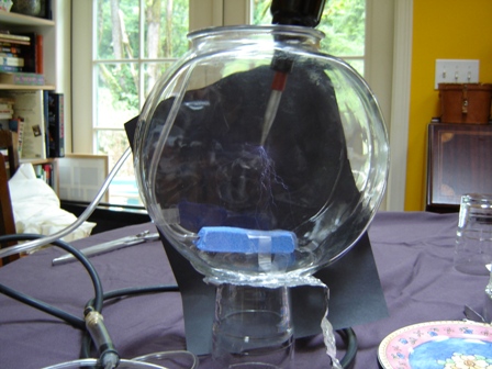 [fishbowl of argon with Tesla coil dipped 
inside]